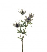 Diestel blau 75 cm 12.00
